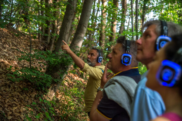 Ph. Alvise Crovato Alberi maestri