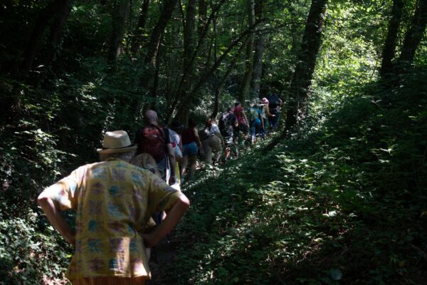 il-sentiero-di-giano-campsirago-installazione