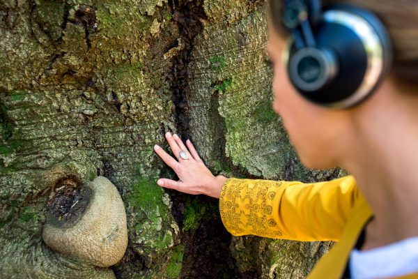 Ph. Alvise Crovato Alberi 3 (20)