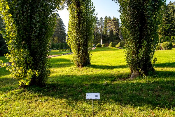 Villa Toeplitz Varese