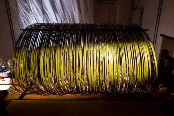 DSC_6365_WEB