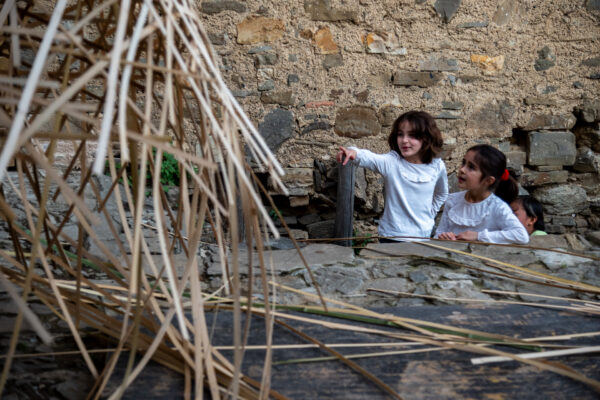 DSC_9094_WEB