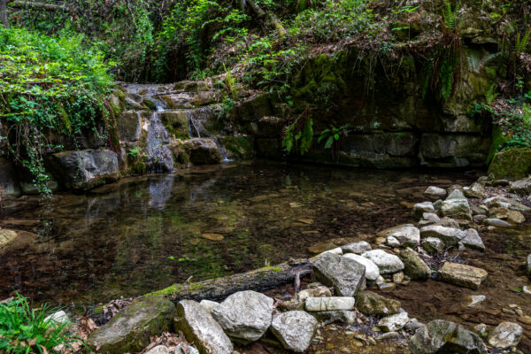 02_ACQUA_DSC_2849_WEB_