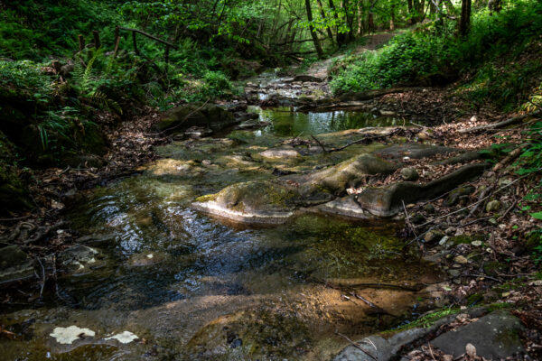 03_ACQUA_DSC_2260_WEB_
