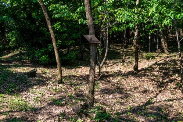 DSC_3794_WEB