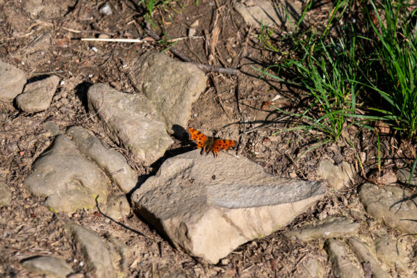 DSC_3960_WEB