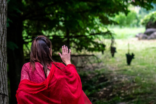 Foto di Alvise Crovato (2)