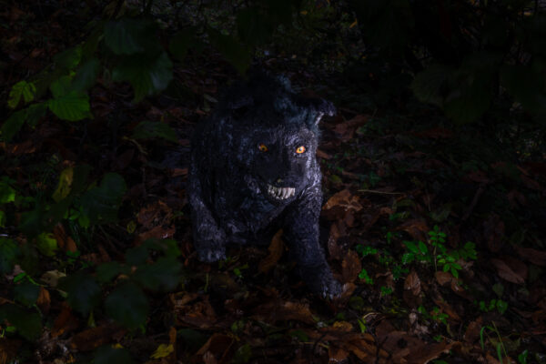 DSC_5884_WEB