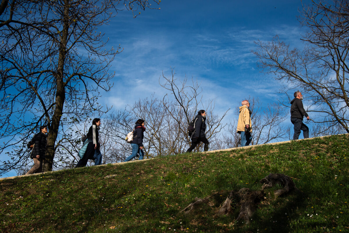 DSC_3287_WEB